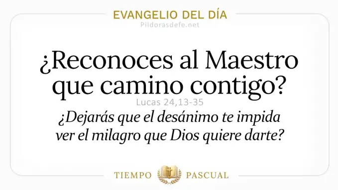 Evangelio del dia Domingo Lucas    Camino de Emaus  Abril 